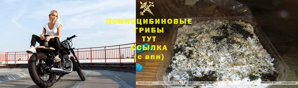 хмурый Мегион