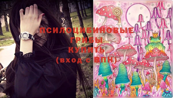 ешки Магас