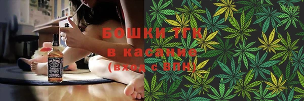 СК Медвежьегорск