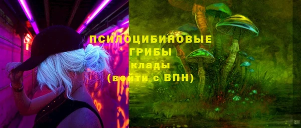ПСИЛОЦИБИНОВЫЕ ГРИБЫ Медногорск