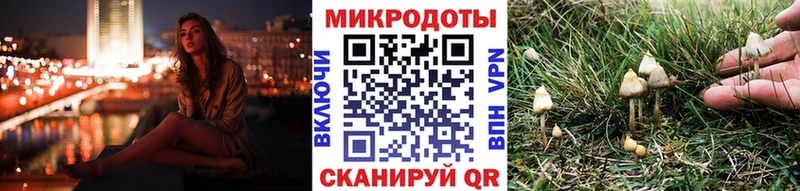 Псилоцибиновые грибы мухоморы дарнет шоп Тольятти