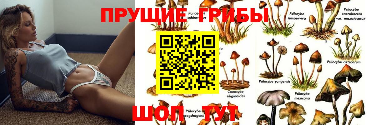 закладки  Псилоцибиновые грибы Psilocybine cubensis  Вход с VPN  Псилоцибиновые грибы Psilocybine cubensis  Тольятти 