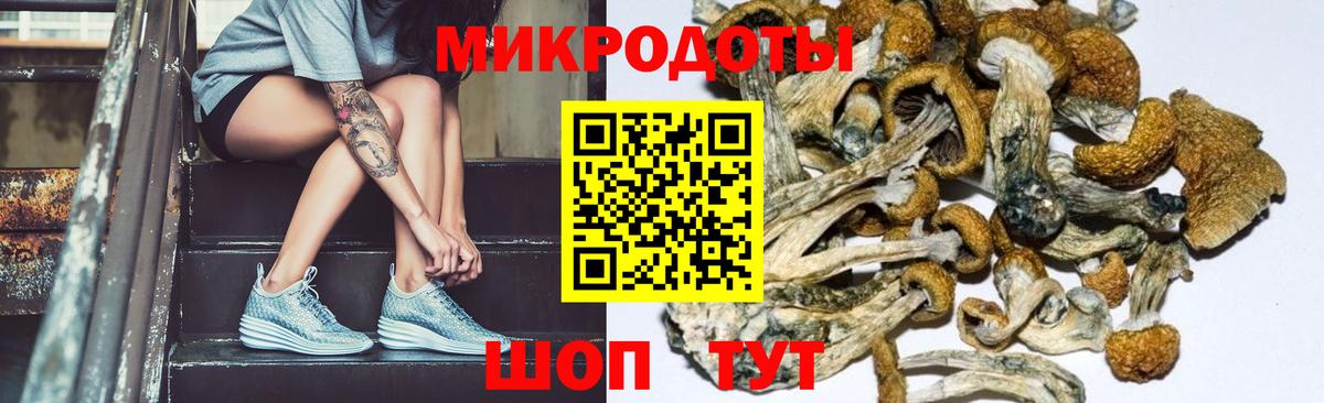 Псилоцибиновые грибы GOLDEN TEACHER Тольятти