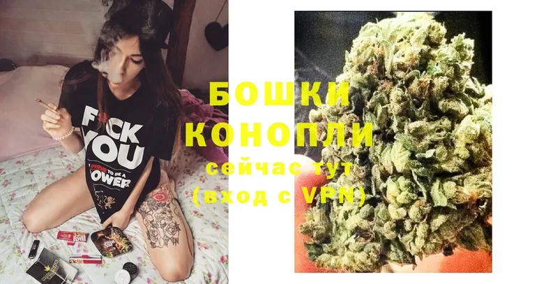 shop какой сайт  Тольятти  Бошки Шишки White Widow 